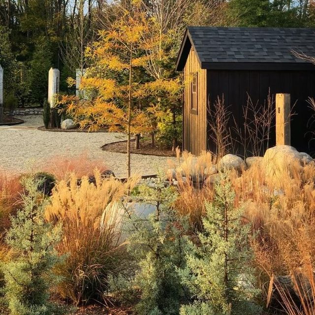 Black Shed